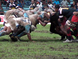 Suva holds Nadro in Sanyo Cup thriller