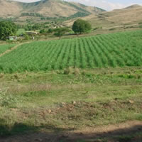 Working Group believes viable solutions can be found