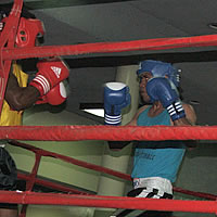 Plans of bringing in more overseas boxers
