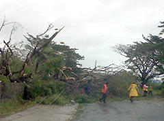 Smaller islands of Vanua Levu, Lau Group badly damaged