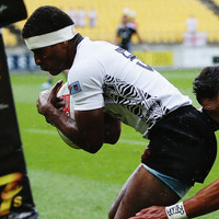 Mulevoro rated highly by IRB commentator