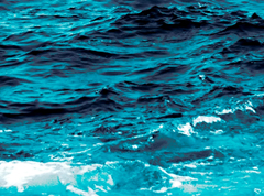 Tragedy for mother as son loses life while swimming intoxicated