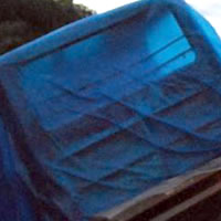 Police Study Aust Forensic Report