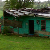 Too many agencies involved in disaster management