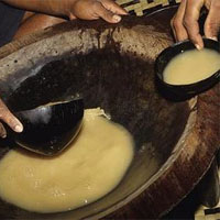 Submissions made to PM about kava industry