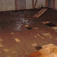 Girls Death Prompts Flood Relief Campaign