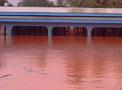 Pain, Suffering From Floods Incomprehensible