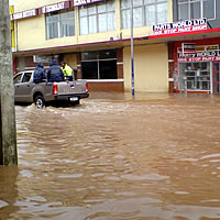 North Damage at $7.2M