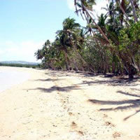 BW Holdings file motion against Land Ministry