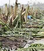Ration pack being delivered to Cyclone affected villagers
