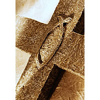 Villagers Show Solidarity To Youths