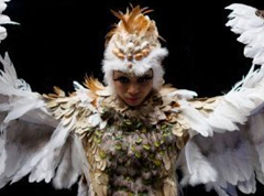 Questions raised on Miss Fijiâ€™s costume