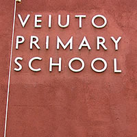 Veiuto looks at easier way of distribution