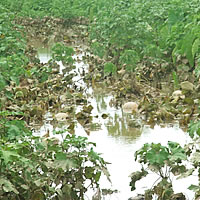 No Hope To Send Children To School-Farmer