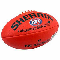 5 selected for Oceania AFL squad