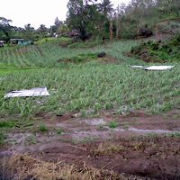 8 cases of diarrhea reported in north