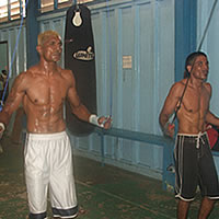 Boxing fans to experience the best