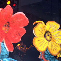 Experience to stay with students