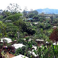 Move difficult for settlement