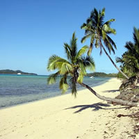 Hundreds Expected At Beaches