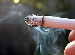 Ban Sale of Cigarette Rolls