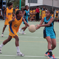 Suva flag flying high