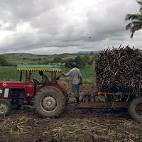 Interim govt decision applauded