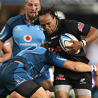 Sharks in a do-or-die situation