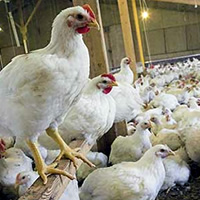 Students learn a lot from agriculture show