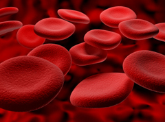 400,000 suffer from anaemia