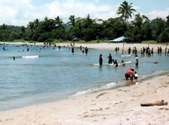 Public share Christmas celebrations 