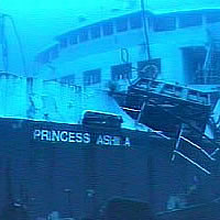 NZ businessman charged over sinking of princess Ashika