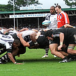 Murphy Confident In Flying Fijians