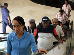 5 confirmed cases of H1N1