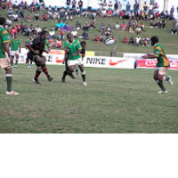 Tailevu new Champions