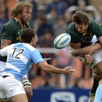 Argentina holds Springboks to a draw
