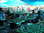Talks underway to build a market in Laucala Beach