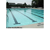 Swimmers aim to qualify for Olymoics