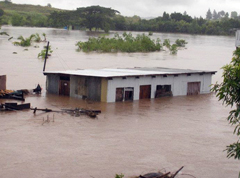 Rama Krishna Mission on road to assist flood victims