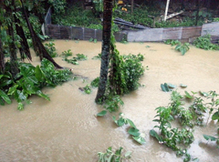 Major flooding expected in some parts of Central/Eastern Division