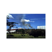 Deliver enough cane-FSC