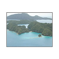 Lomaloma Rep Surprised at Lau’s Support 