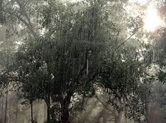 Heavy rainfall predicted, could cause flash flooding