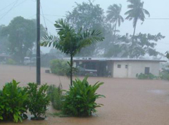 Over $30M worth of damages reported so far