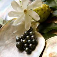 Fiji ideal for pearl farming