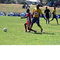 Rewa Summons Their Fans