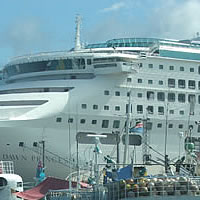 Cruise liner passengers screened for H1N1 symptoms