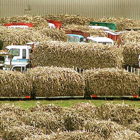 EU, EC urged to release funds for Fiji