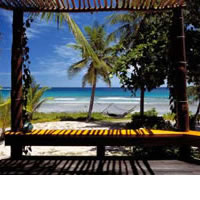 Warwick resort keep Good Occupancy rate