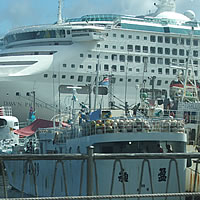 SCC tries to limit taxis for tourists